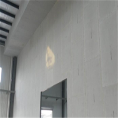 太子河宁波ALC板|EPS加气板隔墙与混凝土整浇联接的实验研讨